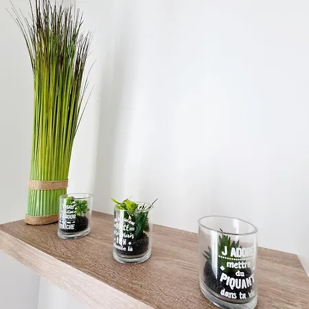 2 Cosy En Centre-ville - Puy Dufou Apartment Les Herbiers