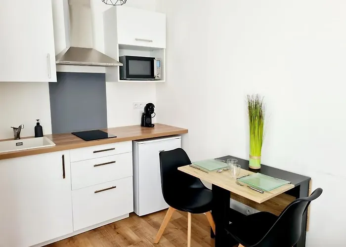 Appartement 2 Cosy En Centre-ville - Puy Dufou *