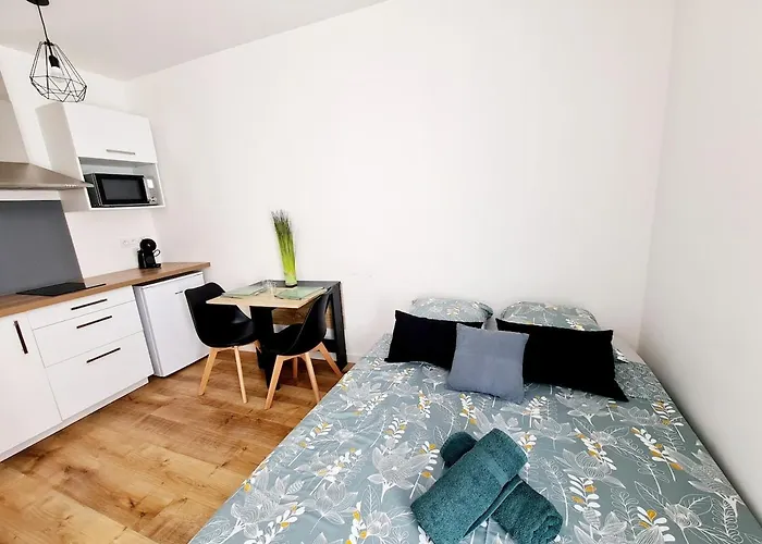 Appartement 2 Cosy En Centre-ville - Puy Dufou