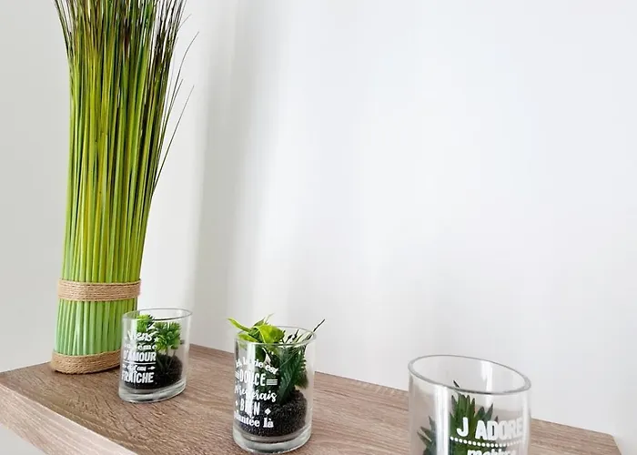 2 Cosy En Centre-ville - Puy Dufou Appartement Les Herbiers